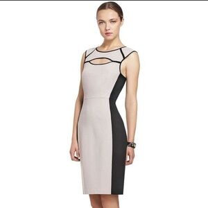 NWOT BCBGMaxAzria Black and Cream Midi Dress